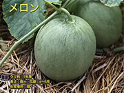 メロン