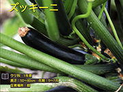 ズッキーニ